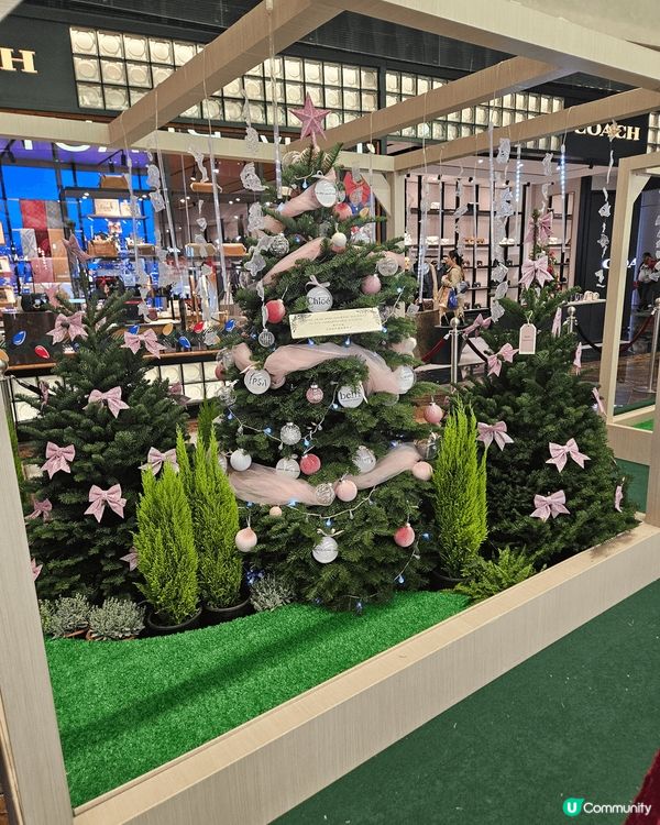 Langham Beauty朗豪坊聖誕節佈置，好靚好的聖誕樹...