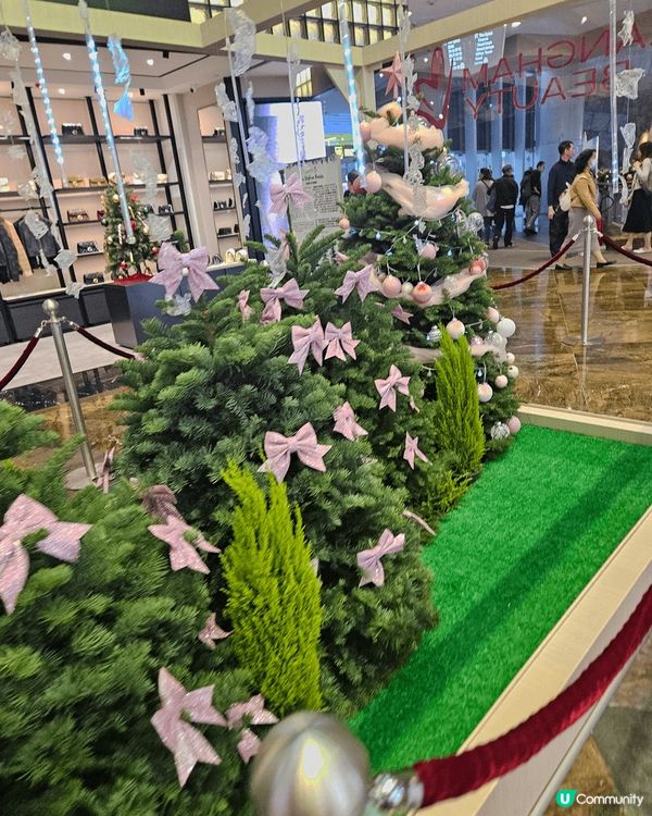 Langham Beauty朗豪坊聖誕節佈置，好靚好的聖誕樹...