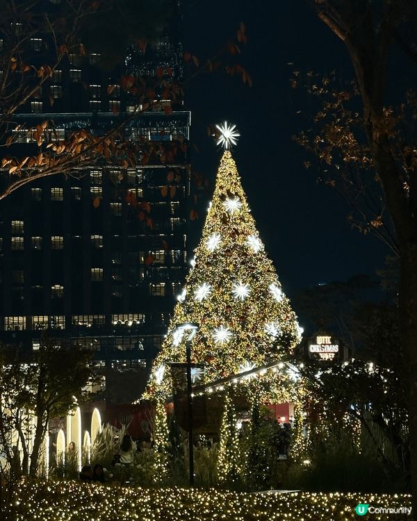 韓國首爾釜山之旅-睇銀杏紅葉，打卡靚靚Cafe，搭天空纜車睇...