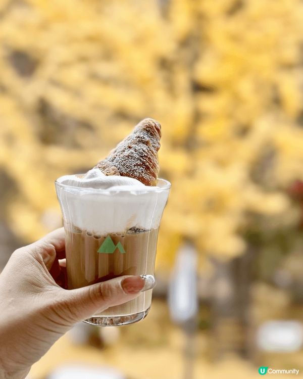 韓國首爾釜山之旅-睇銀杏紅葉，打卡靚靚Cafe，搭天空纜車睇...