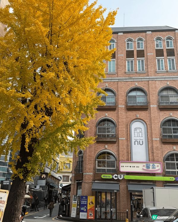 今次到首爾hea遊，去了壁畫村，沿路都有好多漂亮壁畫同精緻咖...