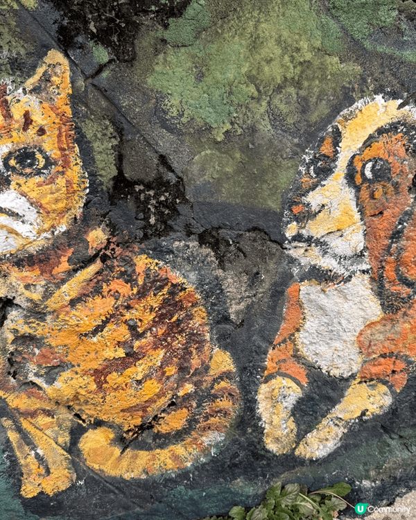 今次到首爾hea遊，去了壁畫村，沿路都有好多漂亮壁畫同精緻咖...