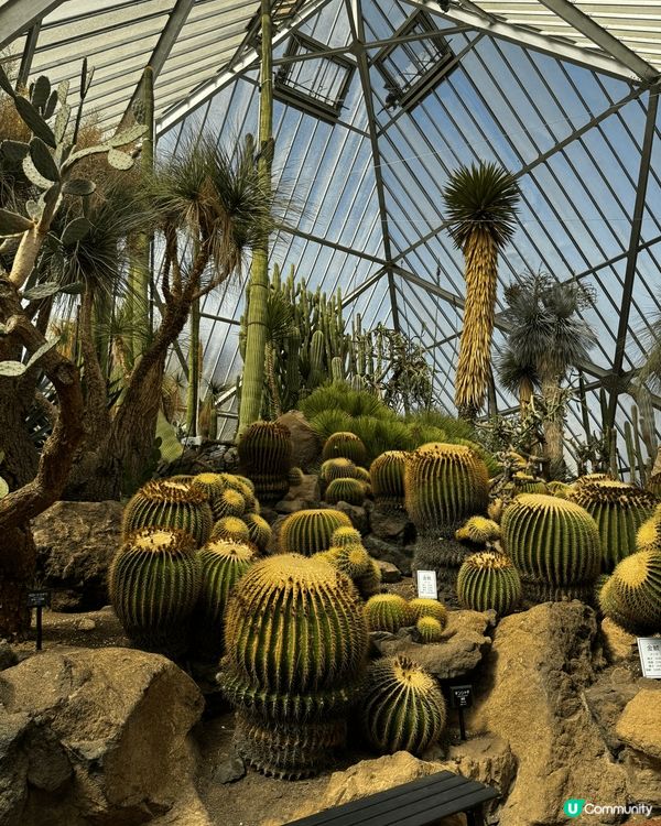 伊豆高原的大室山（你的名字參考地/抺茶山）、仙人掌園及城崎海...