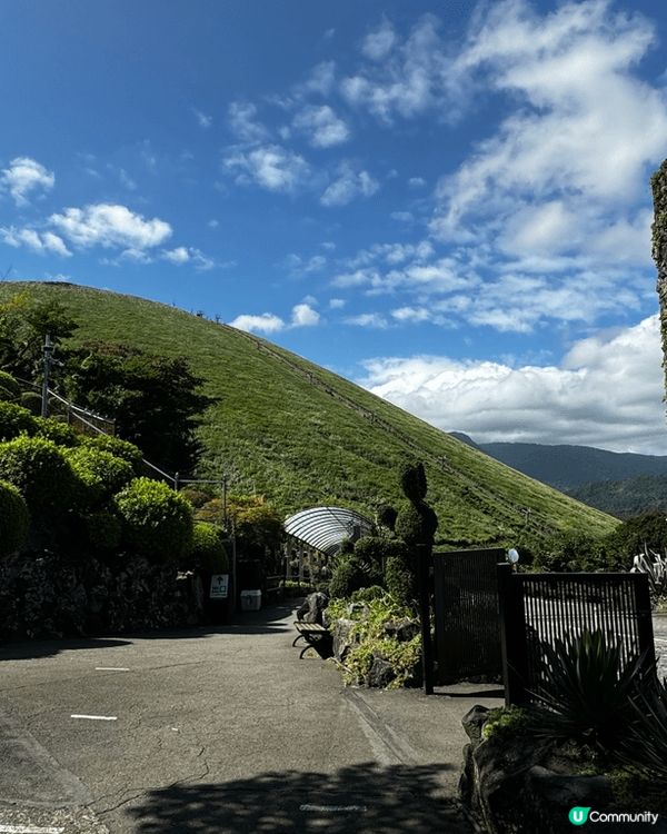 伊豆高原的大室山（你的名字參考地/抺茶山）、仙人掌園及城崎海...