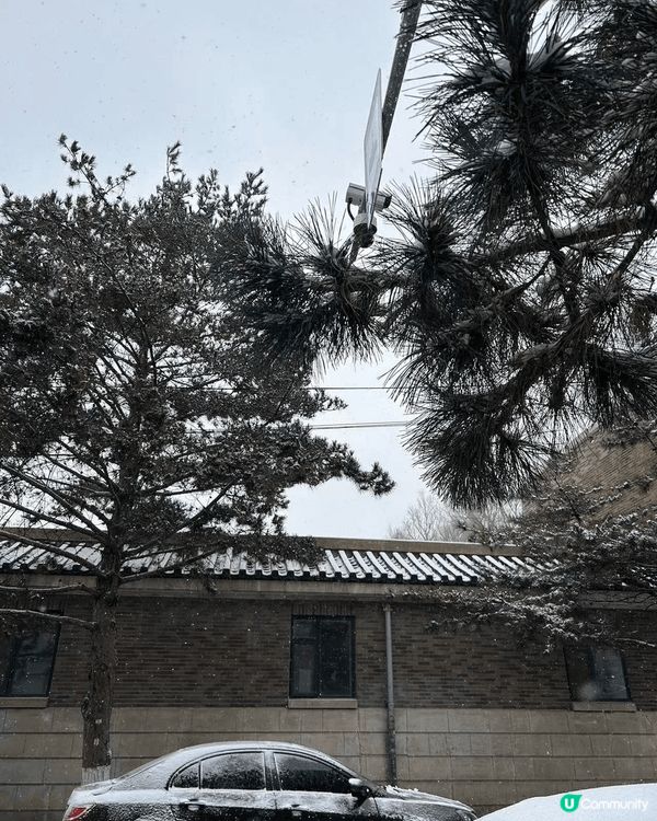 吉林環境優美，大雪紛飛，十分浪慢，好像去咗歐洲，地面結冰可以...