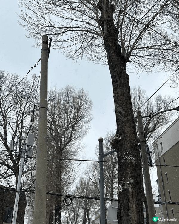 吉林環境優美，大雪紛飛，十分浪慢，好像去咗歐洲，地面結冰可以...