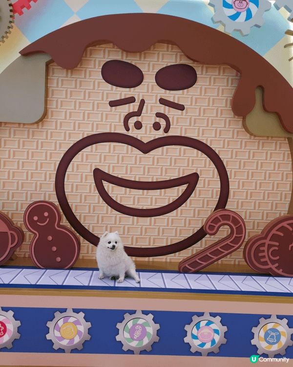 如假日好去處可以介紹 毛孩 在天水圍銀座 商場打卡, 完了仲...