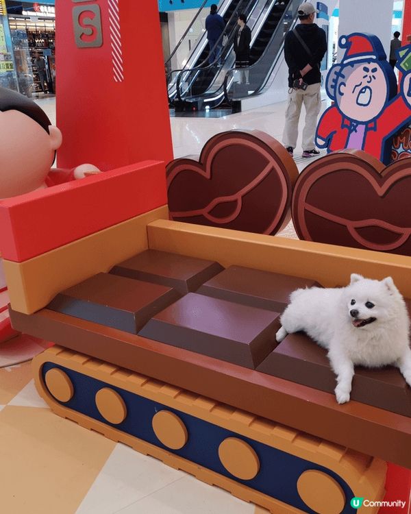 如假日好去處可以介紹 毛孩 在天水圍銀座 商場打卡, 完了仲...