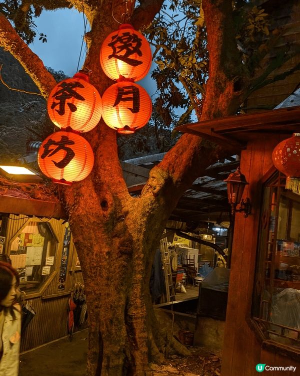 台灣貓空纜車有茶飲又有得行山睇景，望到台北101！去台北的不...