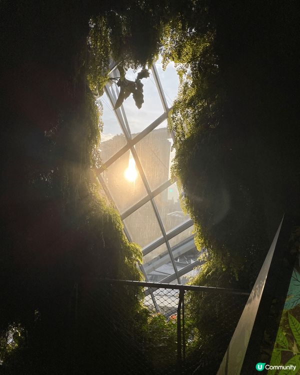 新加坡最特別的元素相信都係佢擁有多元文化的社區 。而且作為一...