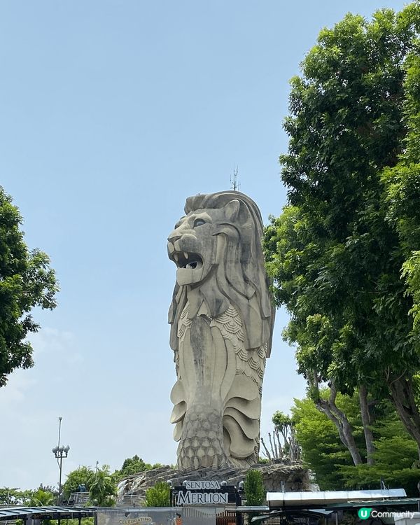 新加坡最特別的元素相信都係佢擁有多元文化的社區 。而且作為一...