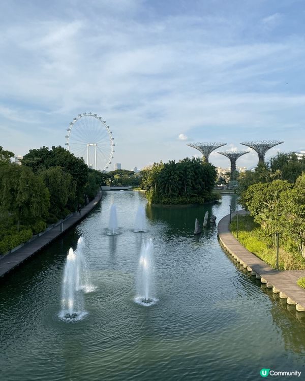 新加坡最特別的元素相信都係佢擁有多元文化的社區 。而且作為一...