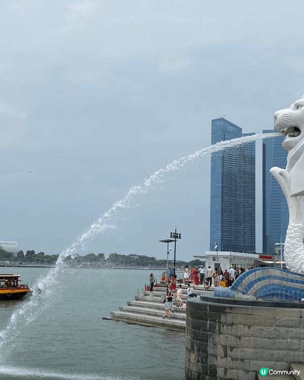 新加坡最特別的元素相信都係佢擁有多元文化的社區 。而且作為一...