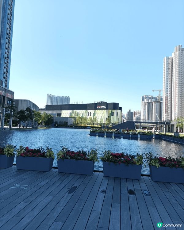 與老人家一起最美的啓德體育園週邊的景色