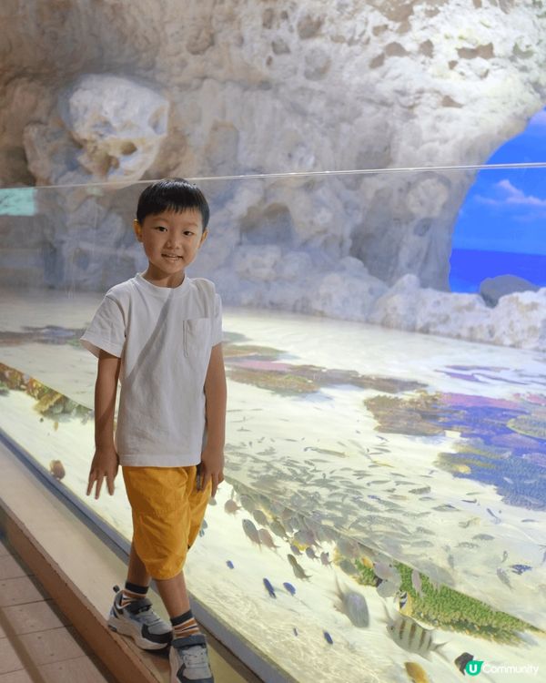 沖繩「DMM Kariyushi 水族館」靚到好似藝術館咁，...