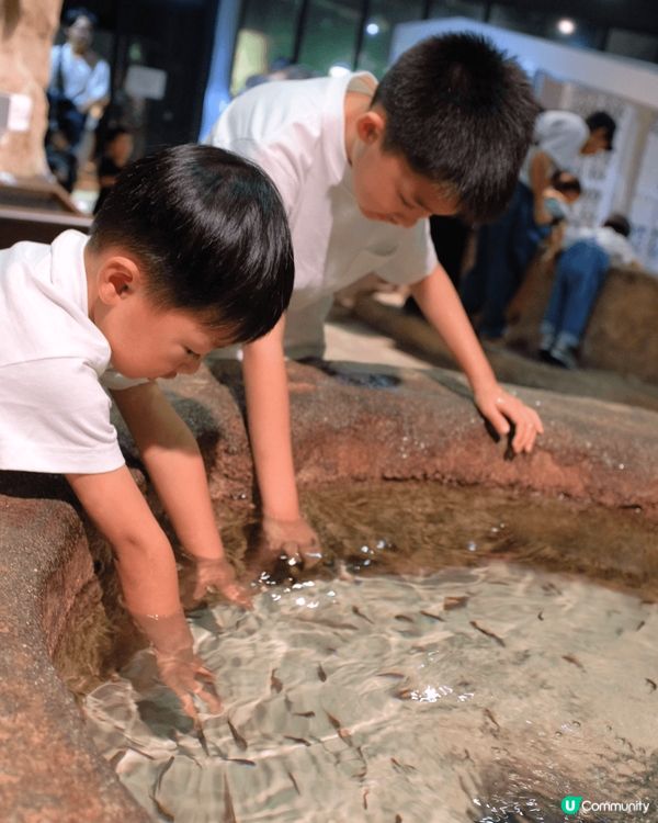 沖繩「DMM Kariyushi 水族館」靚到好似藝術館咁，...