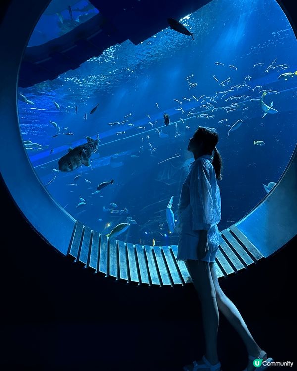 沖繩「DMM Kariyushi 水族館」靚到好似藝術館咁，...