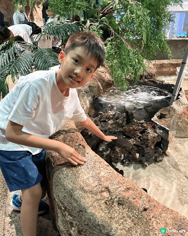 沖繩「DMM Kariyushi 水族館」靚到好似藝術館咁，...