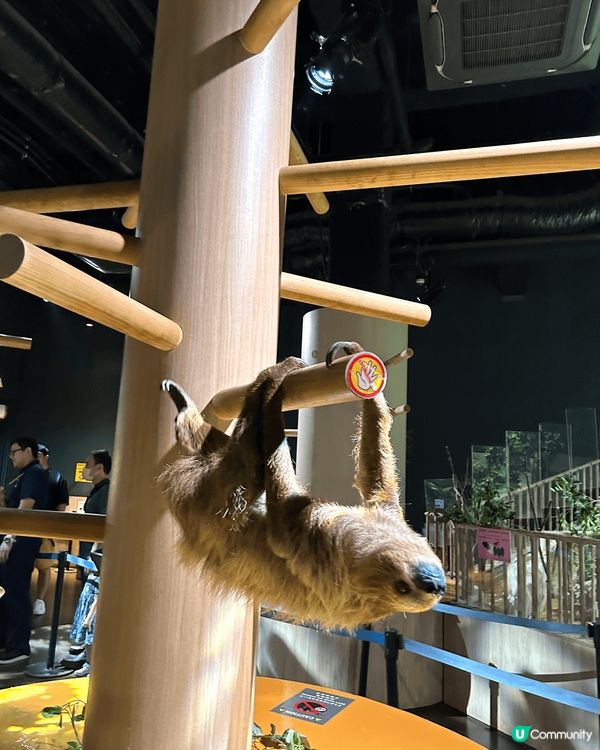 沖繩「DMM Kariyushi 水族館」靚到好似藝術館咁，...