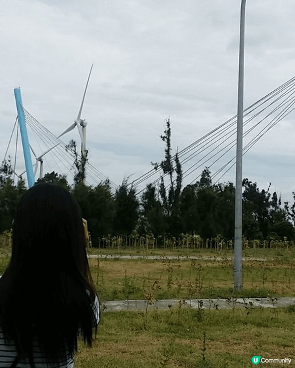 台灣是一個悠閒及容易起行的好地方，風景優美， 美食平而多選擇...