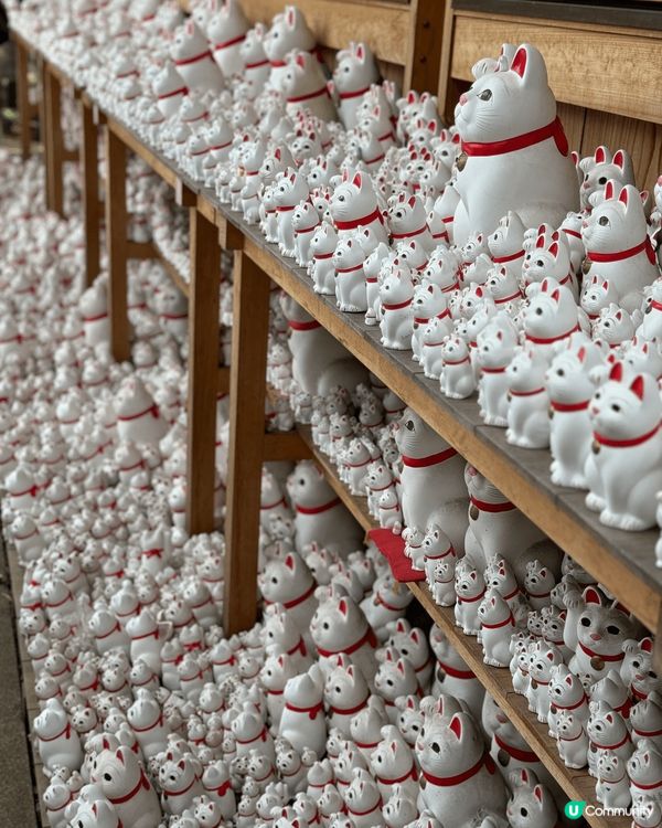 日本草津溫泉，天氣凍去啱曬。