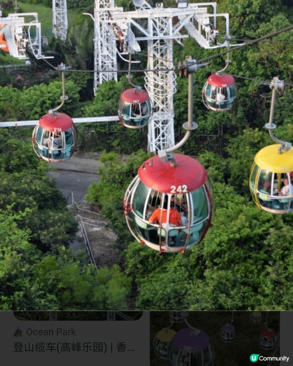 海洋公園又大又好玩，吃，喝，玩，樂機動遊戲任玩都可正