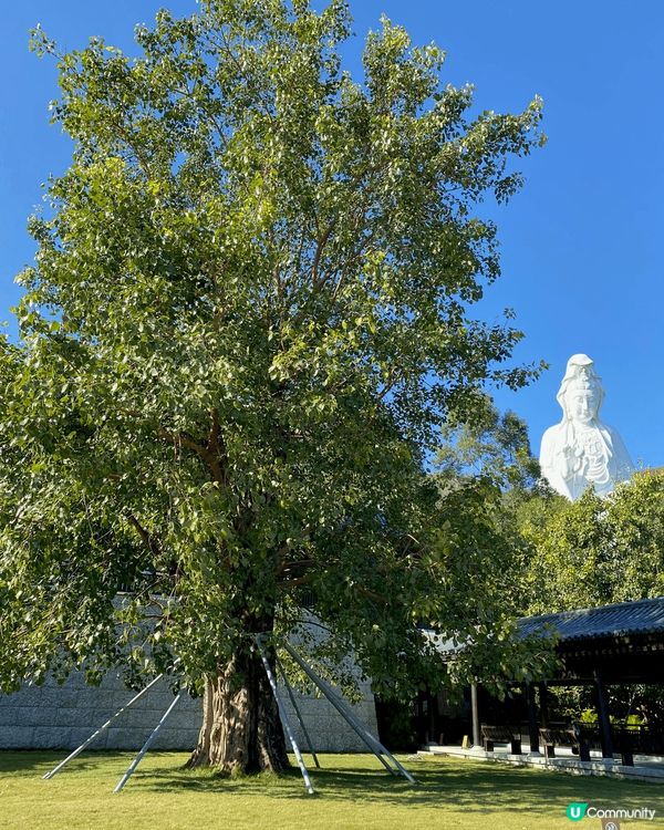 慈山寺係香港一個好靜好舒服嘅地方，去完真係覺得心靈都平靜咗。...
