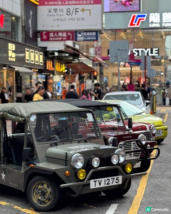 65週年盛典🎉 Mini Cooper經典車迷必到！