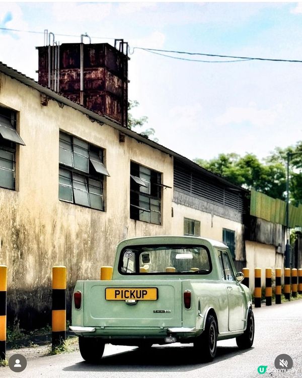 65週年盛典🎉 Mini Cooper經典車迷必到！