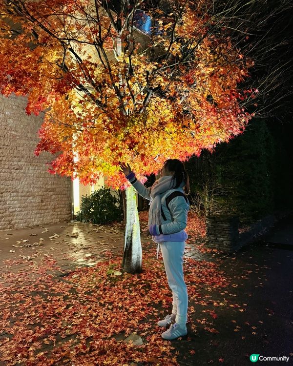 🍁打卡穿著衫小貼tips