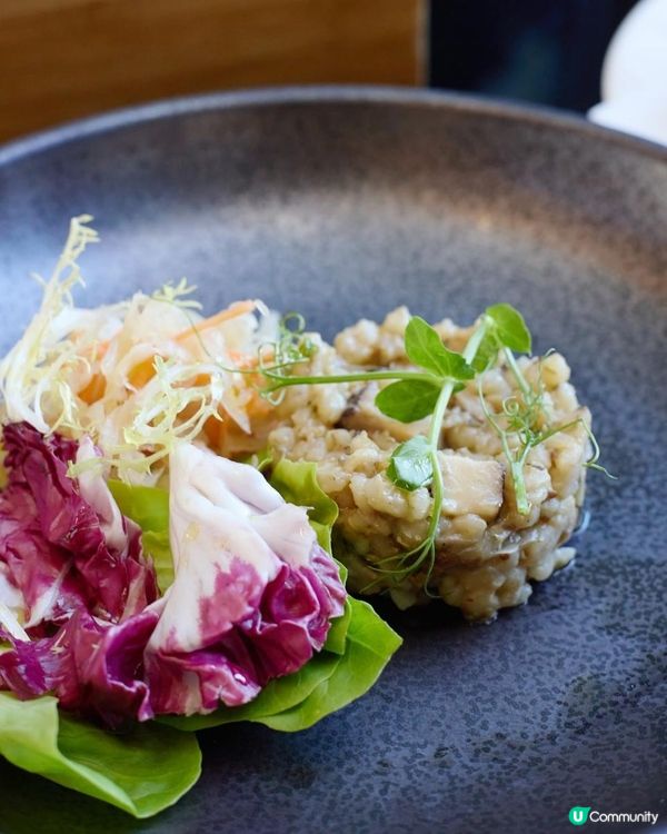 Hotel ICON 🍴GREEN X 捷克主廚🇨🇿 四手聯乘捷克午餐