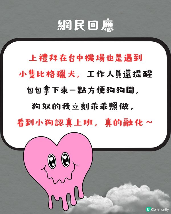 被選中做緝毒犬訓練對象⁉️ 超特別旅行體驗😍網民：日本都遇過‼️✈️
