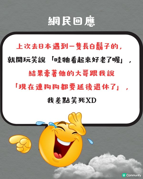 被選中做緝毒犬訓練對象⁉️ 超特別旅行體驗😍網民：日本都遇過‼️✈️
