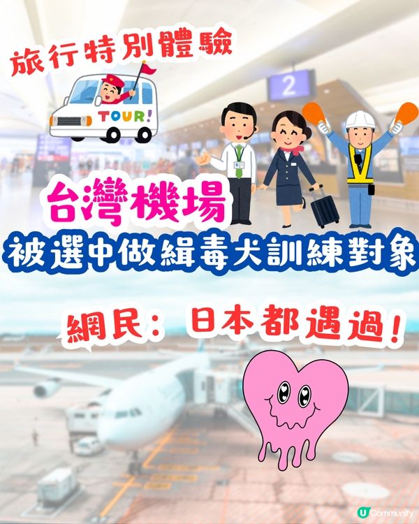 被選中做緝毒犬訓練對象⁉️ 超特別旅行體驗😍網民：日本都遇過‼️✈️