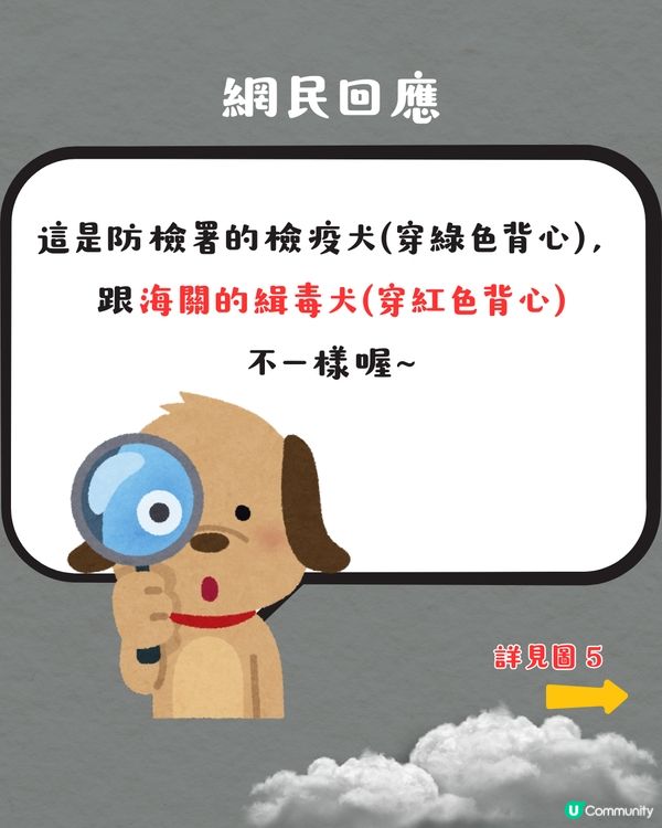 被選中做緝毒犬訓練對象⁉️ 超特別旅行體驗😍網民：日本都遇過‼️✈️