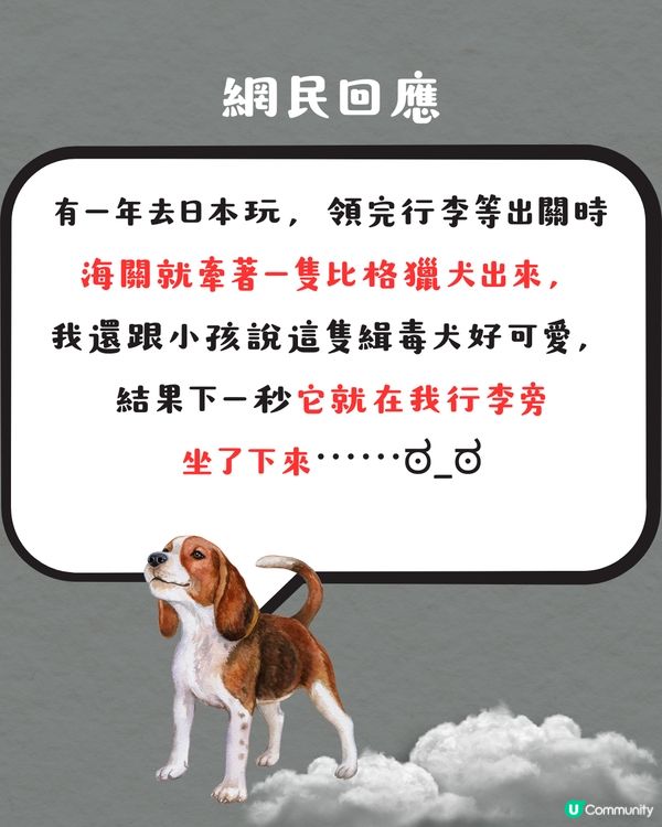 被選中做緝毒犬訓練對象⁉️ 超特別旅行體驗😍網民：日本都遇過‼️✈️