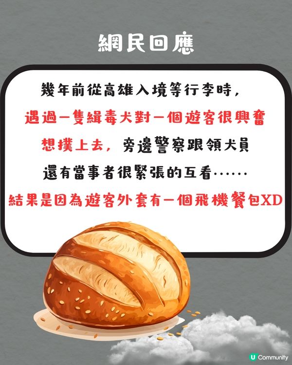 被選中做緝毒犬訓練對象⁉️ 超特別旅行體驗😍網民：日本都遇過‼️✈️