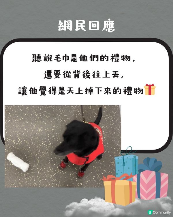 被選中做緝毒犬訓練對象⁉️ 超特別旅行體驗😍網民：日本都遇過‼️✈️