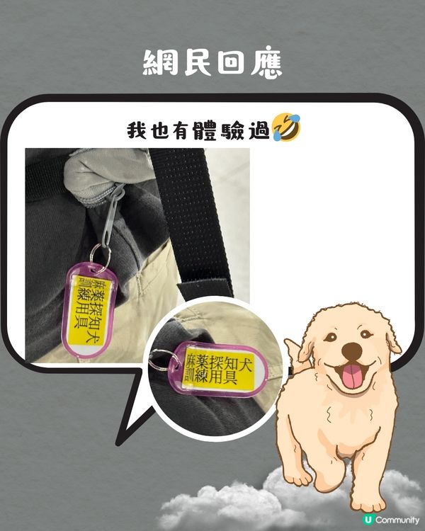 被選中做緝毒犬訓練對象⁉️ 超特別旅行體驗😍網民：日本都遇過‼️✈️