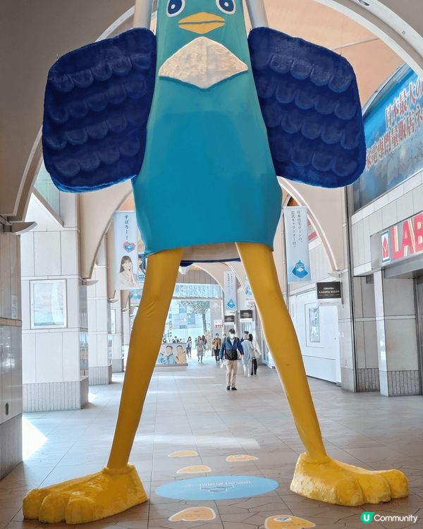 #OK即刻有**  一夜之後重遊,發現NANA 原來係會變身...