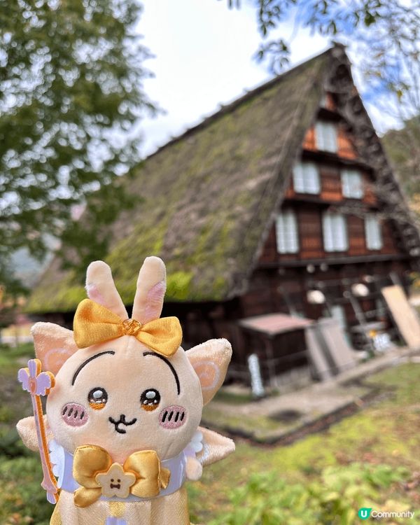 今次帶埋兔兔一齊去日本賞楓之旅