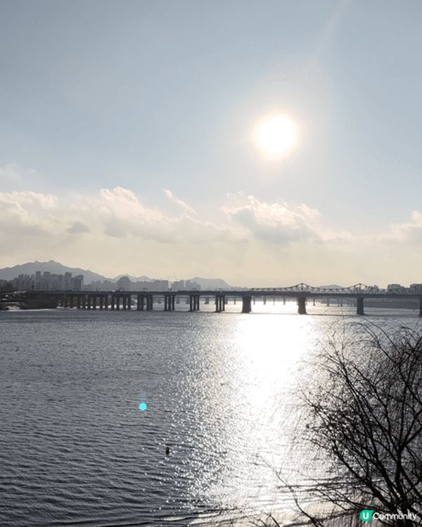 首爾聖水洞打卡熱點🌳漢江美景盡收眼底💜