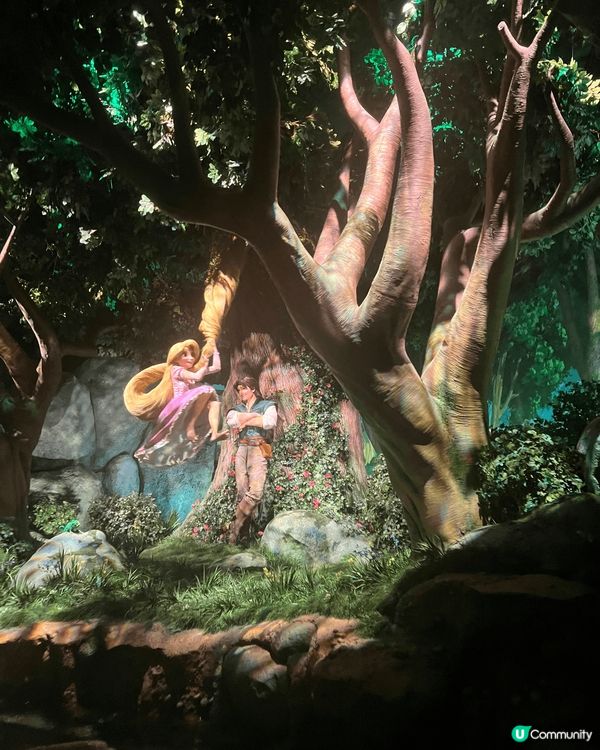 見東京disneysea開左新園區，就同朋友一齊去，順便朋友...