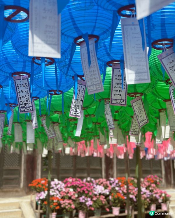 韓國🇰🇷釜山都是海港城市🏙️卻有著不一樣的夜景與歷史｜有歷史...