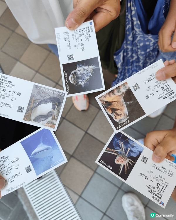 大阪海遊館-好適合一家大細去參觀遊覽，有各式各樣嘅海洋生物，...