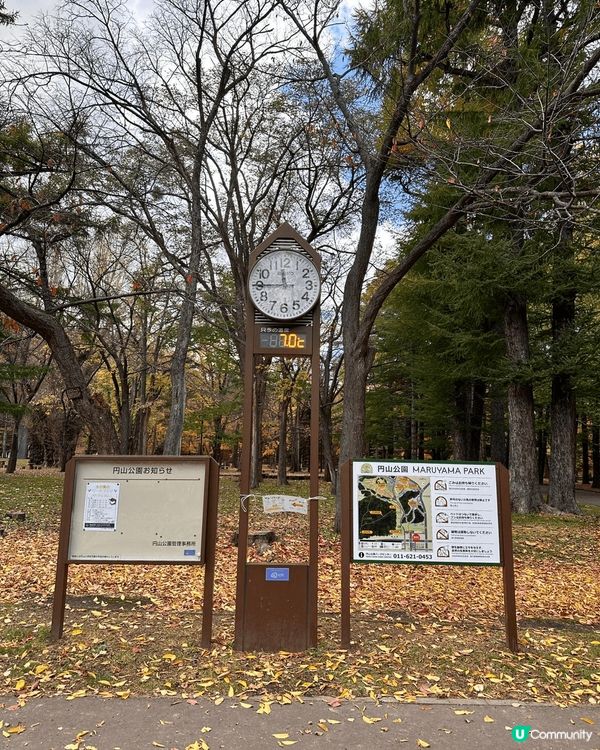 去北海道旅行，風景如畫、食物款式多，解壓一流！