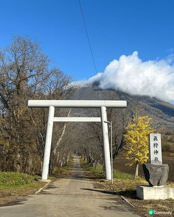 去北海道旅行，風景如畫、食物款式多，解壓一流！