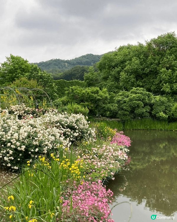 日本富士山的環境，真係超靚
