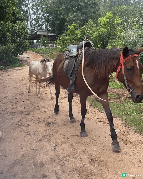這是一個泰國之旅影的相片。泰國出發前機場影了張指定動張boa...