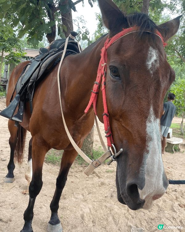 這是一個泰國之旅影的相片。泰國出發前機場影了張指定動張boa...